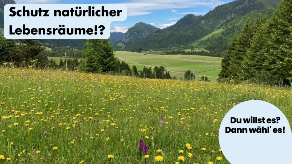 ohnelogo_linkedin_alpin